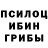 Галлюциногенные грибы Psilocybe Dina Karplyuk