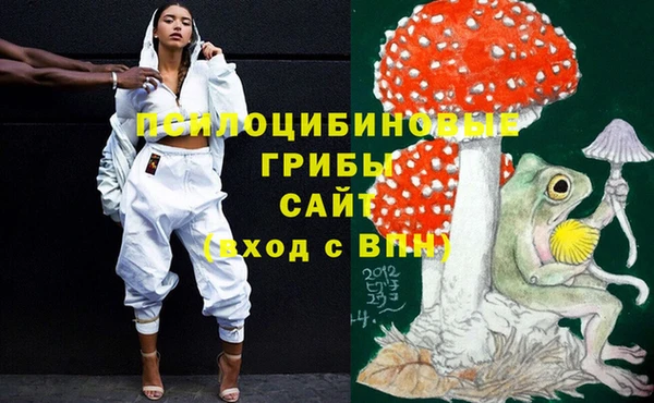 apvp Козельск