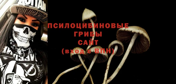 apvp Козельск