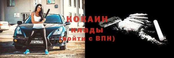apvp Козельск