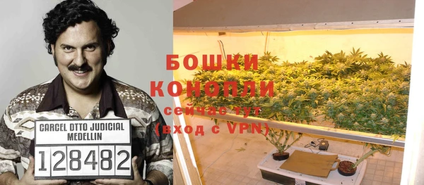 apvp Козельск