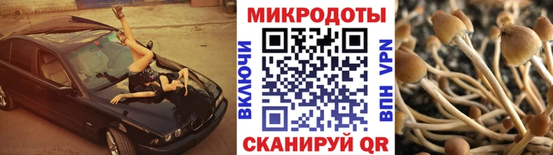 Галлюциногенные грибы Cubensis  Купить  Новороссийск 